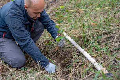 Un 55% más que el pasado año
