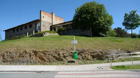 Los animales podrán disfrutar de un paseo en libertad
