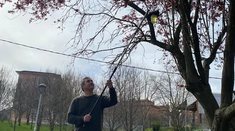 trampas-avispa-abanto