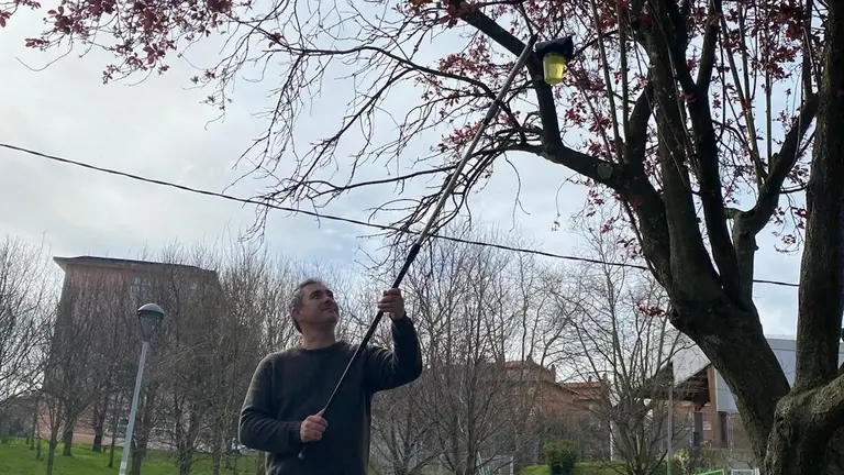 trampas-avispa-abanto